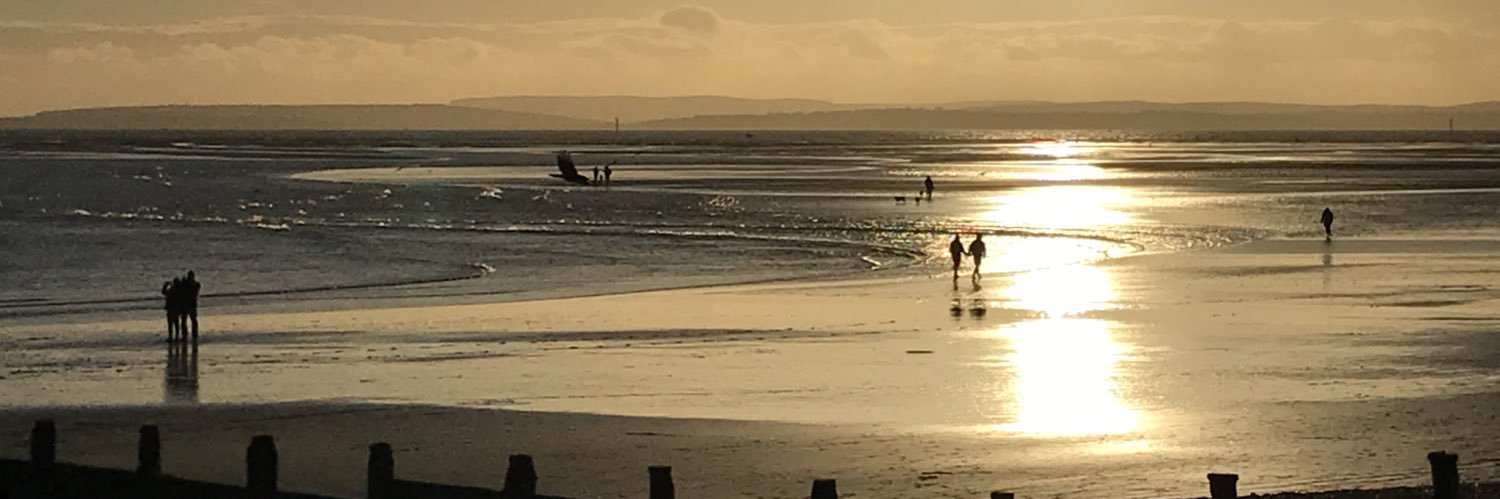 Dr Fran Lansley banner