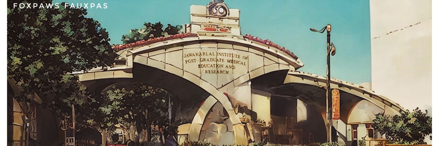 Dr. Foxpaws Fauxpas's banner