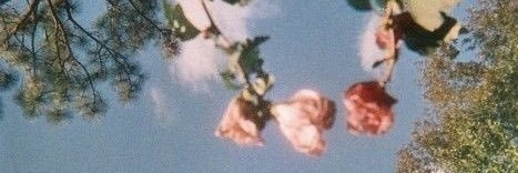 chechumacchi's profile banner image