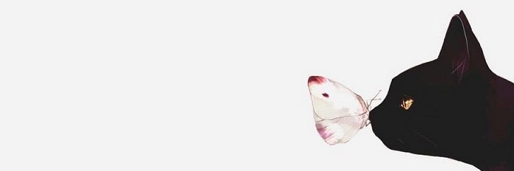 Soraduna's profile banner image