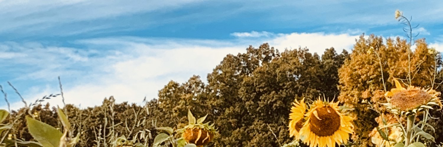 abbeyyoung1_'s profile banner image