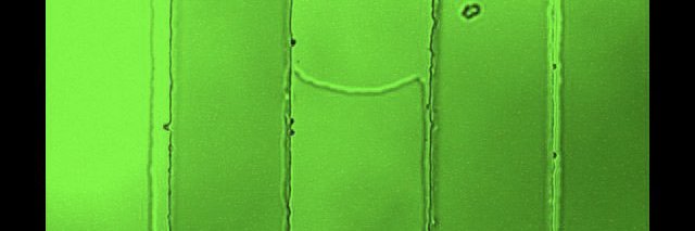 R_Amit_Lab's profile banner image