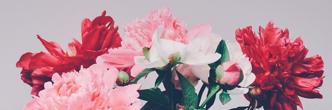 michaelaamohr's profile banner image