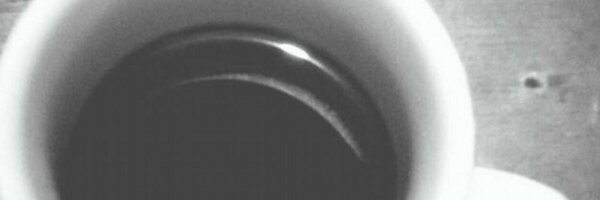 lapintapintu Profile Banner