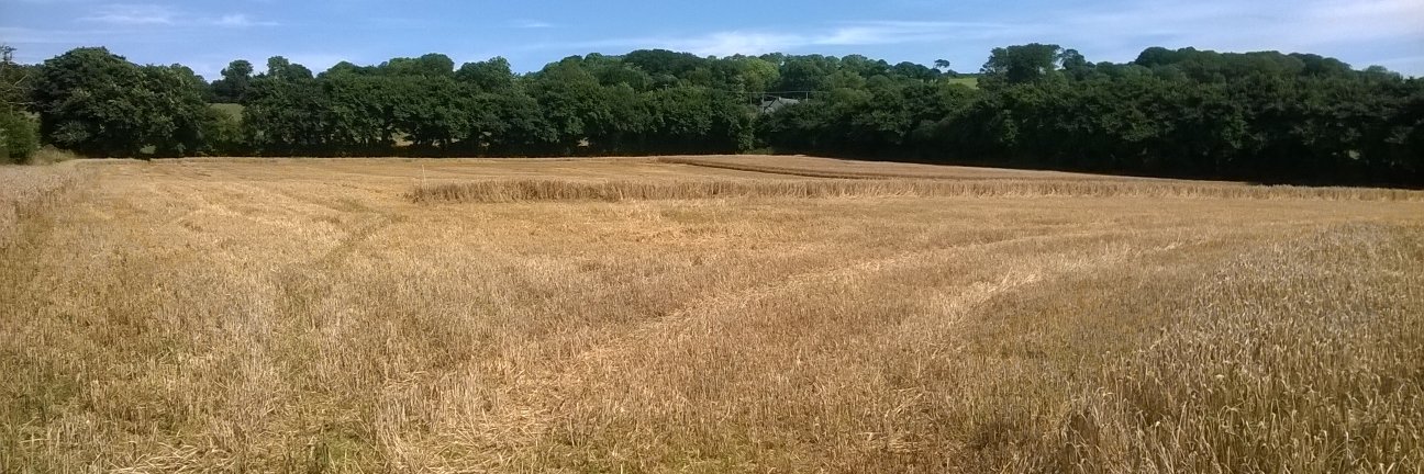 e-Seed Crop Technology Solutions banner