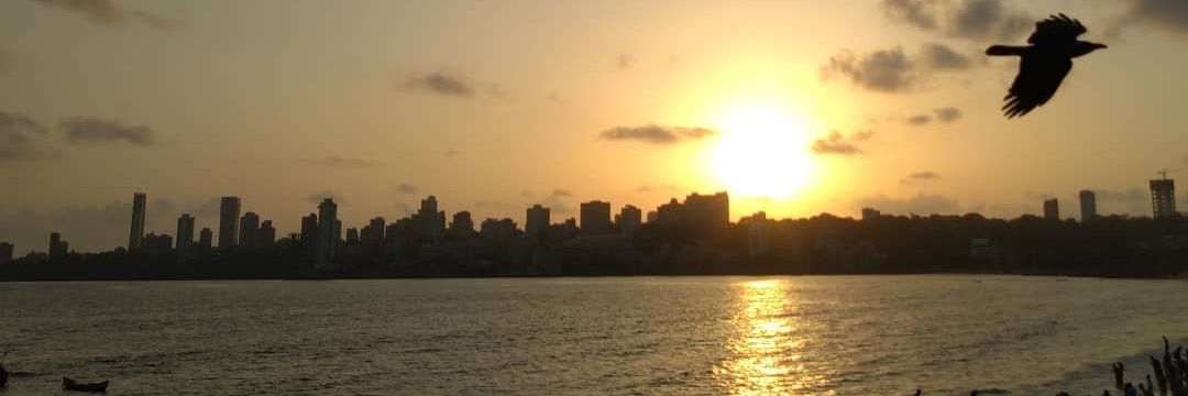 alkvay's profile banner image