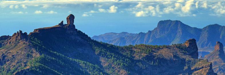 Morena3663's profile banner image