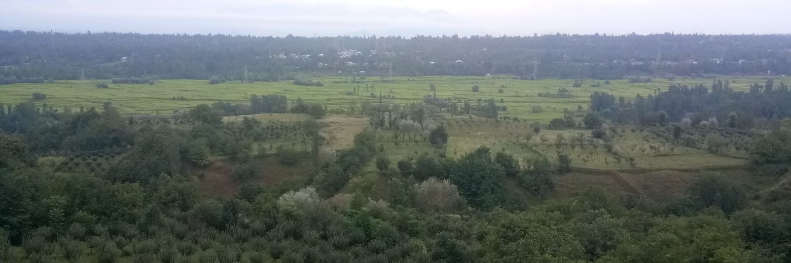 Aamnafar199's profile banner image