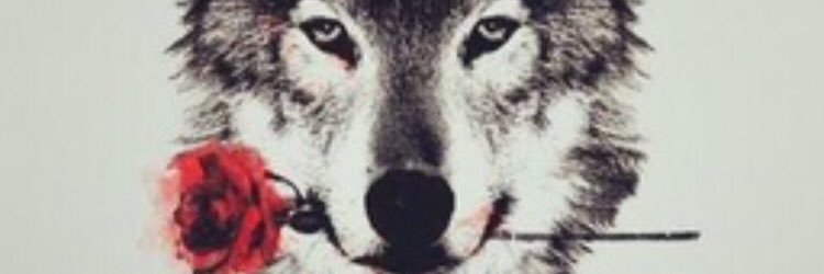 chysadreamer's profile banner image