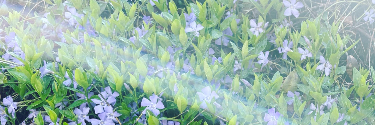 KitrinaKanaris's profile banner image