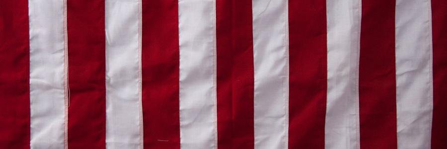 Vijay - /ʋɪd͡ʒjeɪ/ banner