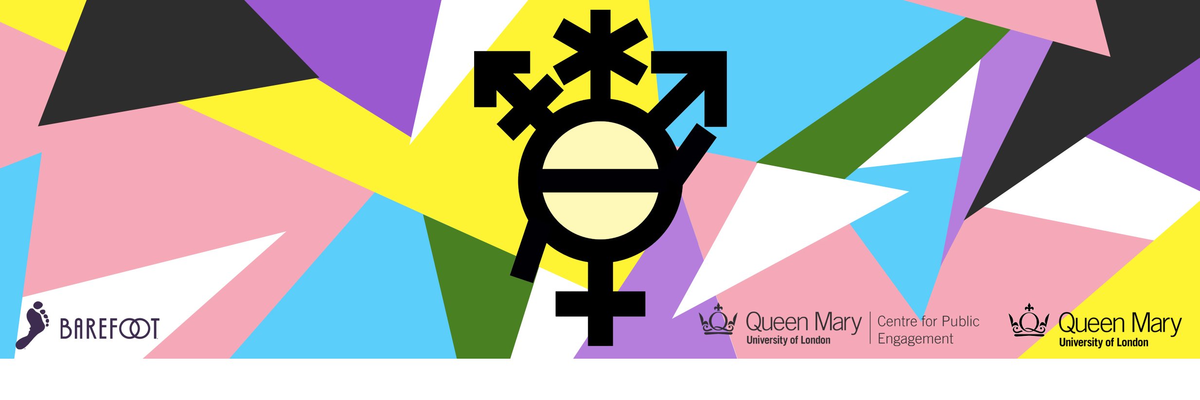 Gender in the Contemporary World banner