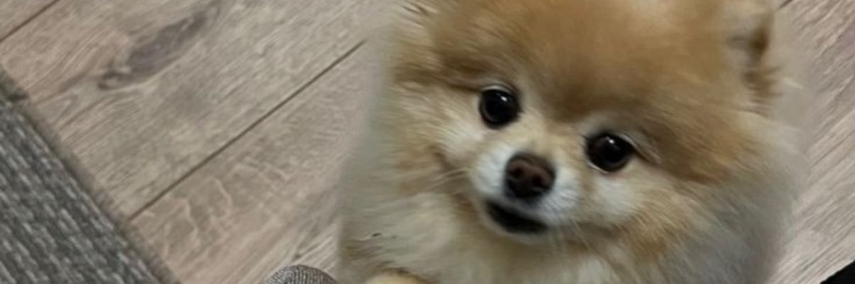 nnnboyyy's profile banner image