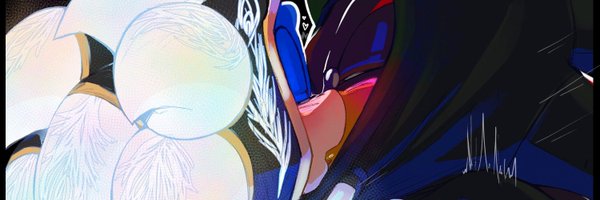 SHu_0696 Profile Banner