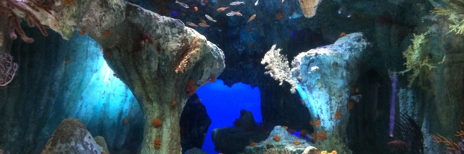 一ノ瀬 ハル banner