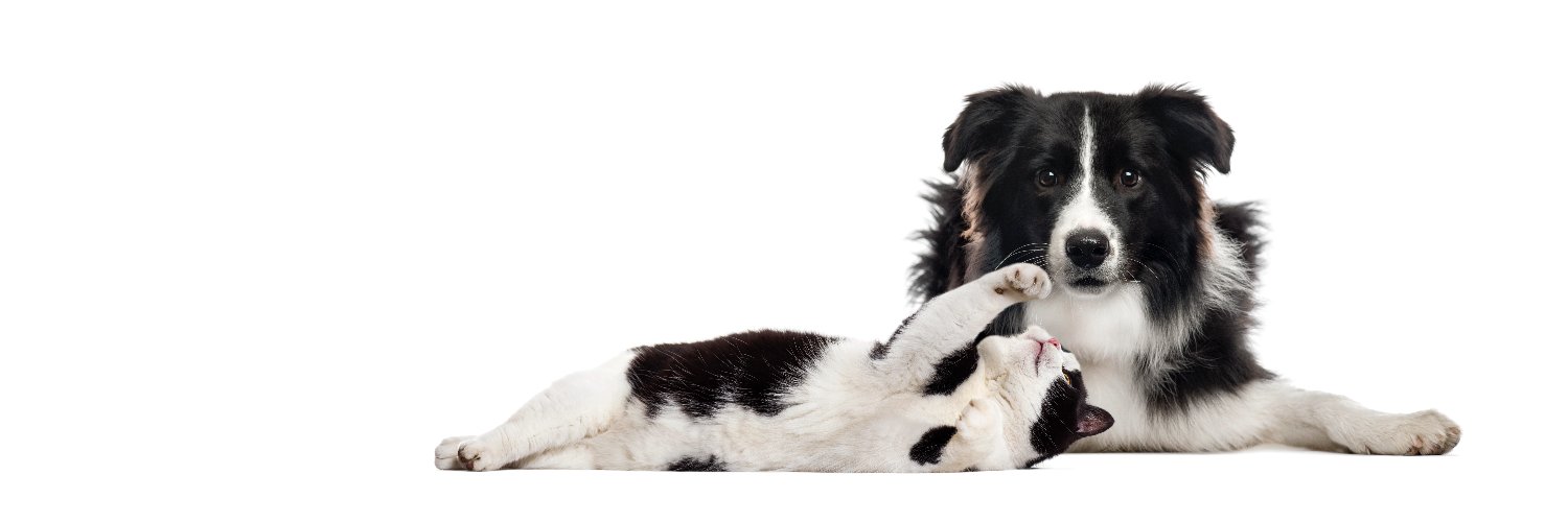 Purely Pets Insurance banner