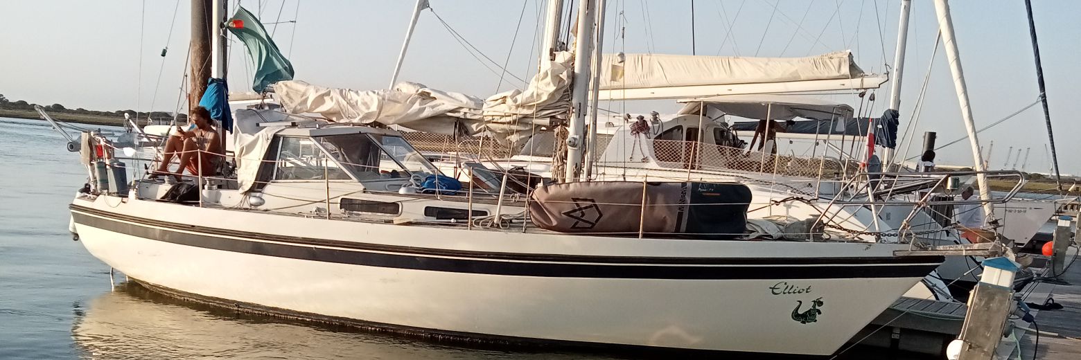 Domi Walter 🇳🇱🇩🇪🇬🇧🇫🇷🇪🇸 banner