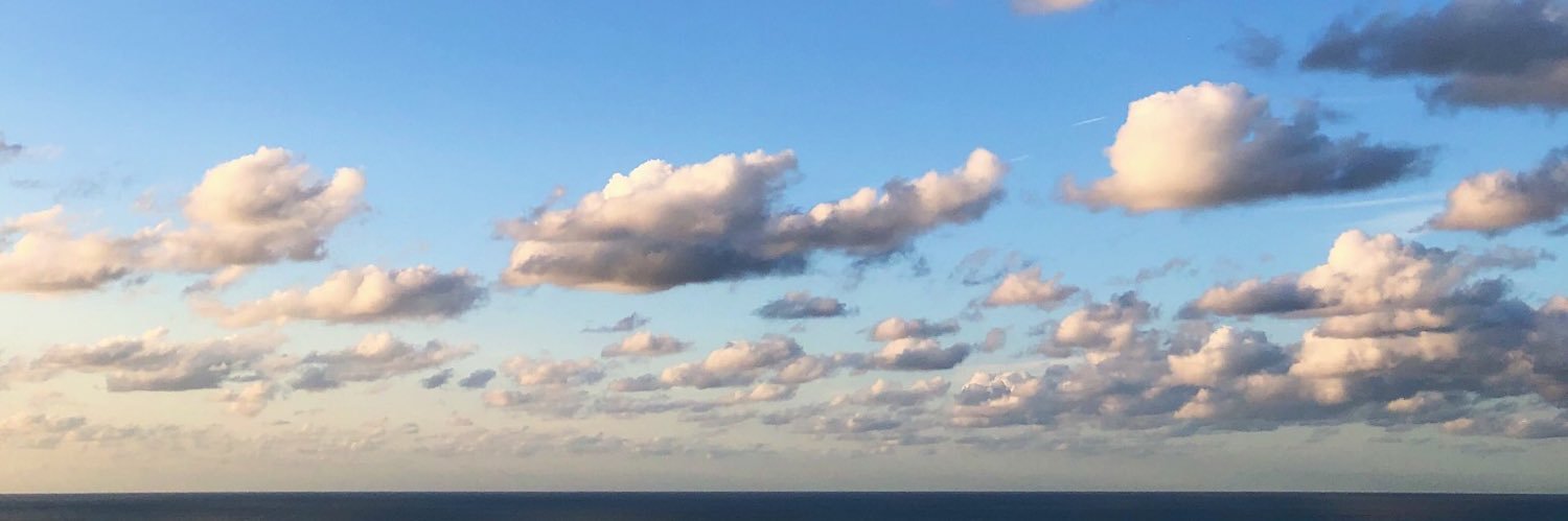 blssjsss's profile banner image