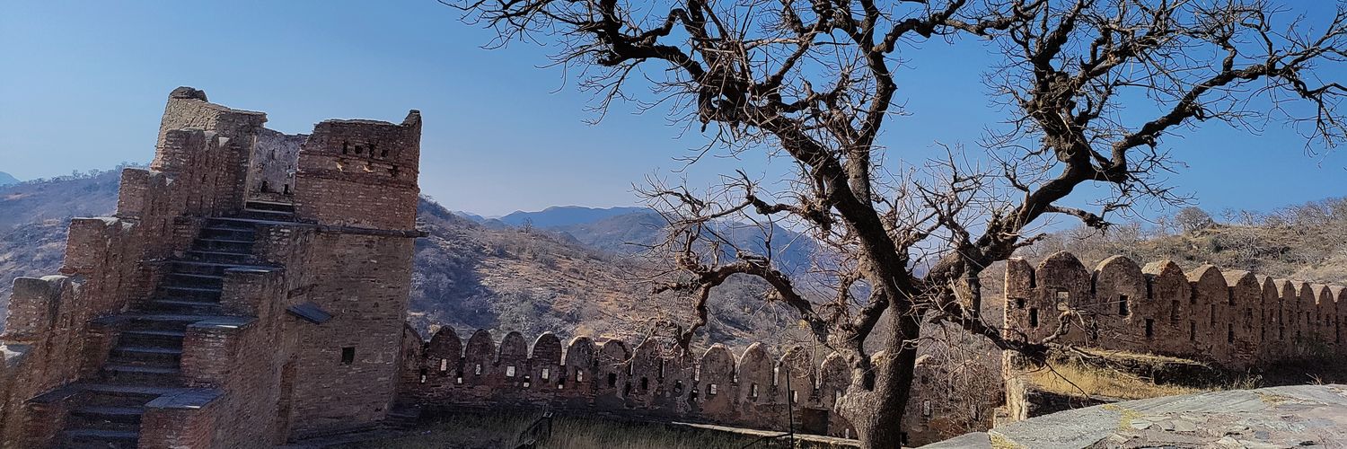 Rishika Desai banner