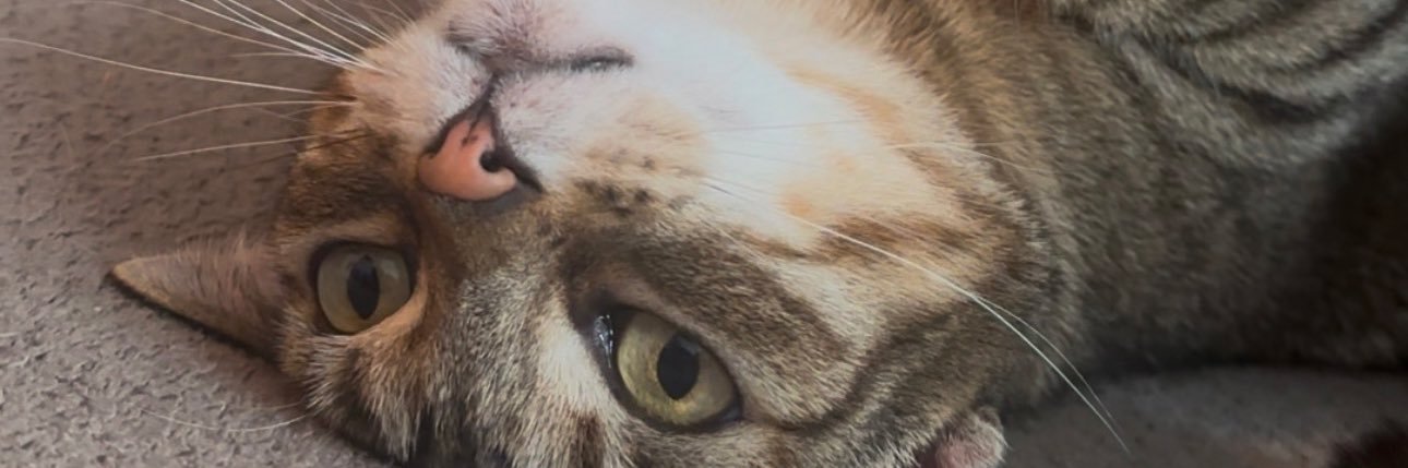 aachuckk's profile banner image