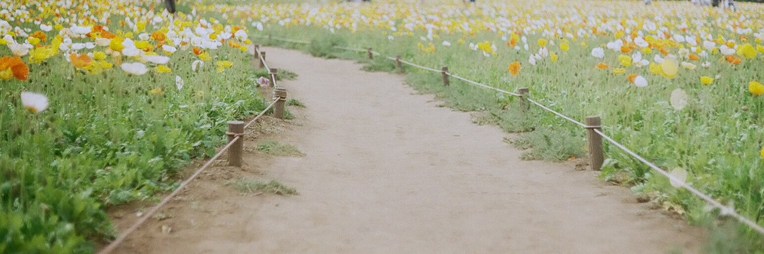 ayabou_'s profile banner image