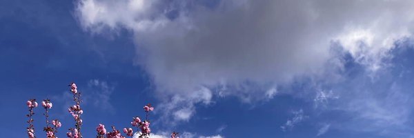ashisinghk Profile Banner
