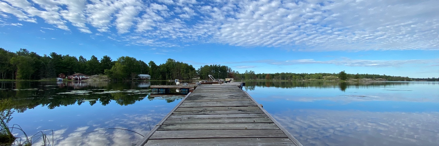 StephanieMorgenstern banner