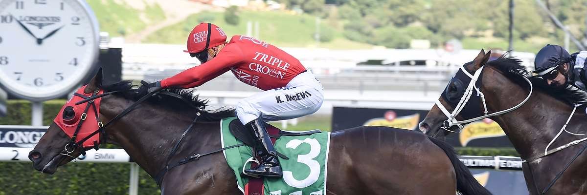 Triple Crown Syndications banner