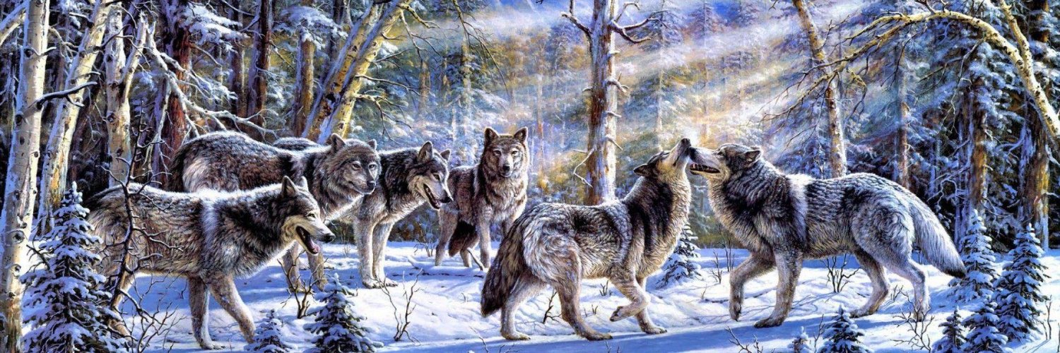 🇨🇦 Karen M banner