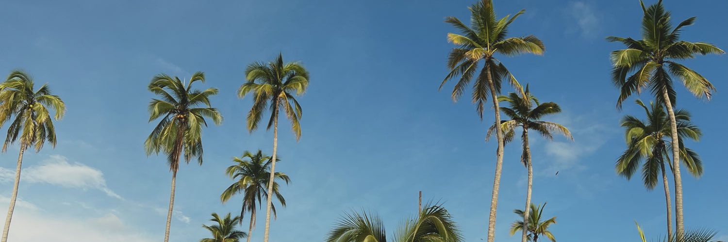 sofiafc's profile banner image