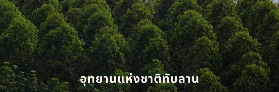 น้องเฝ้าหน้าจอ's banner