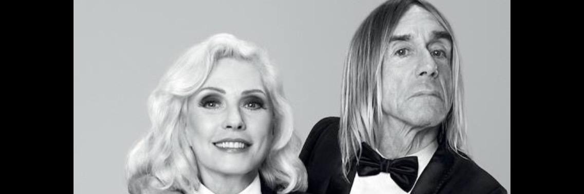 BuzziDonatella's profile banner image