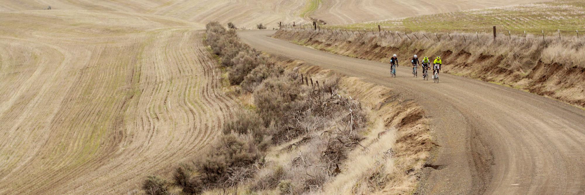 Breadwinner Cycles banner