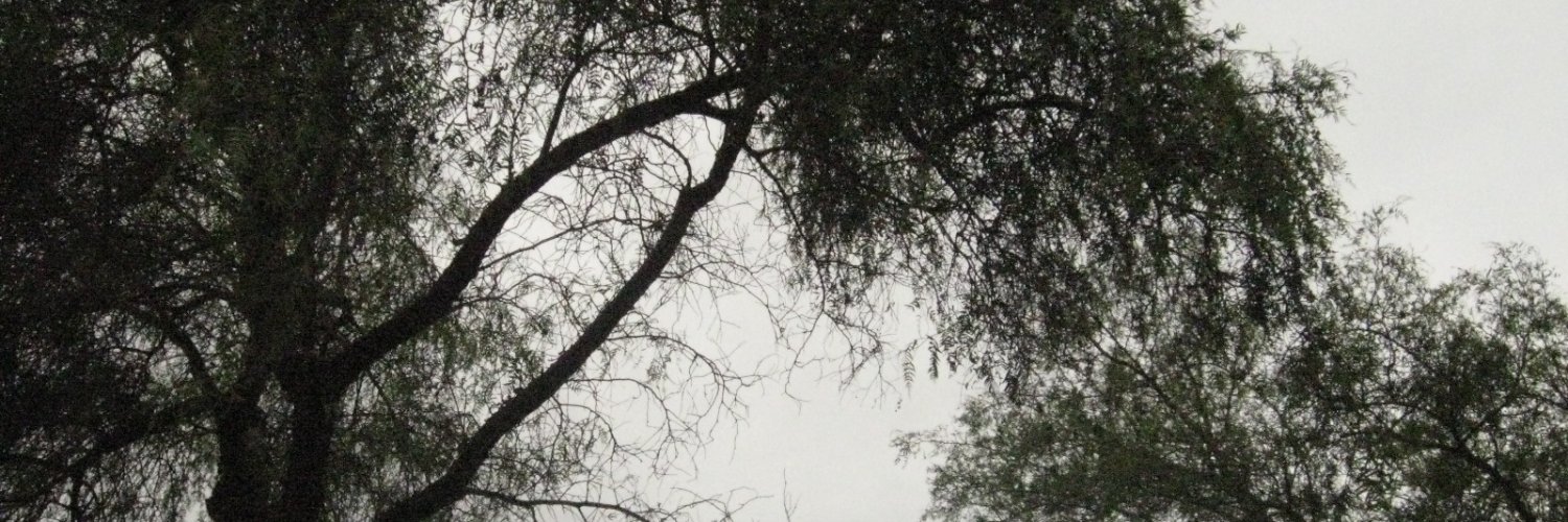 hpneo's profile banner image