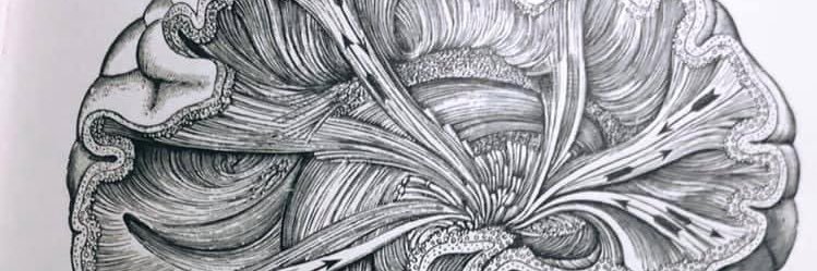 Montysaurius's profile banner image