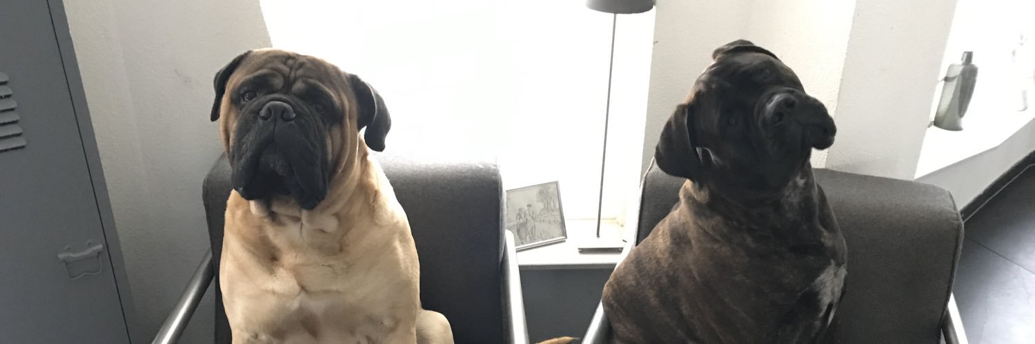 dennisvanhooff's profile banner image