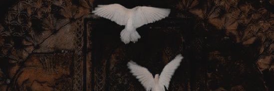 ٠ S Ϻ Λ Ι L Ι C Κ 9 4 ٠ banner