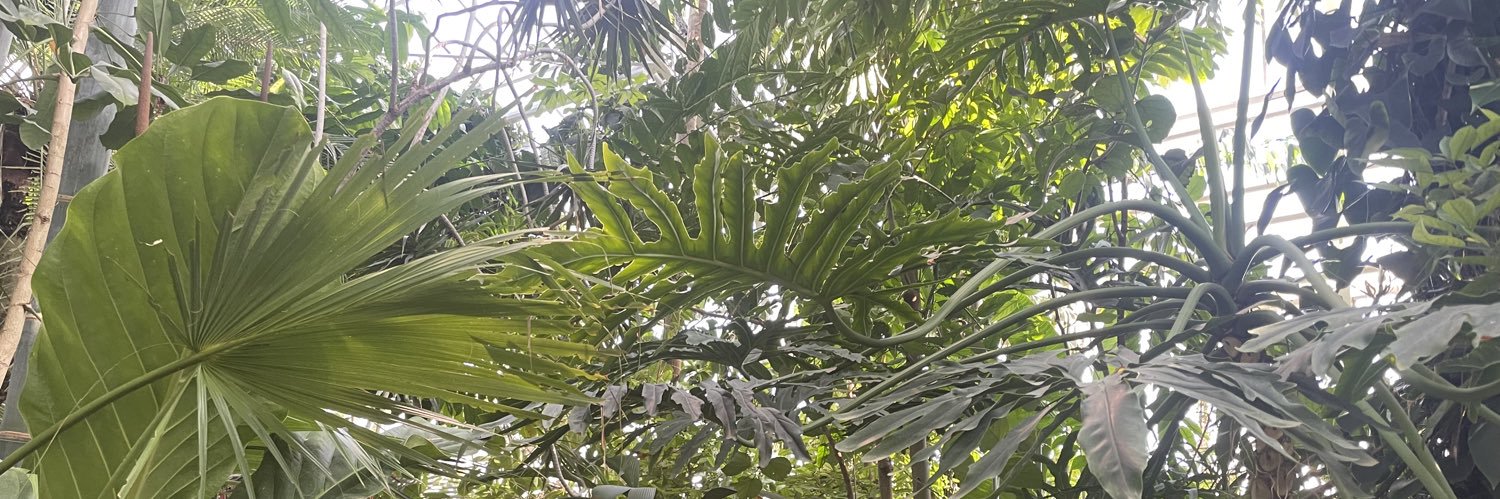 Caitlin Anderson banner