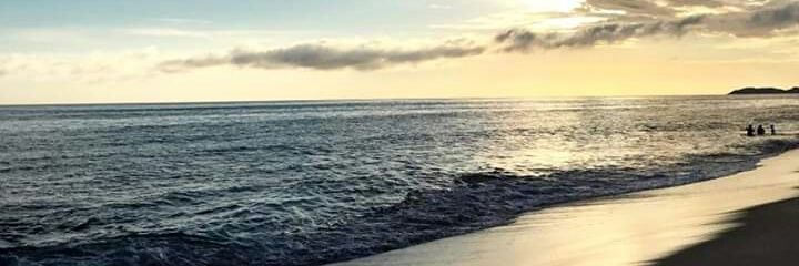 P_Borelli's profile banner image