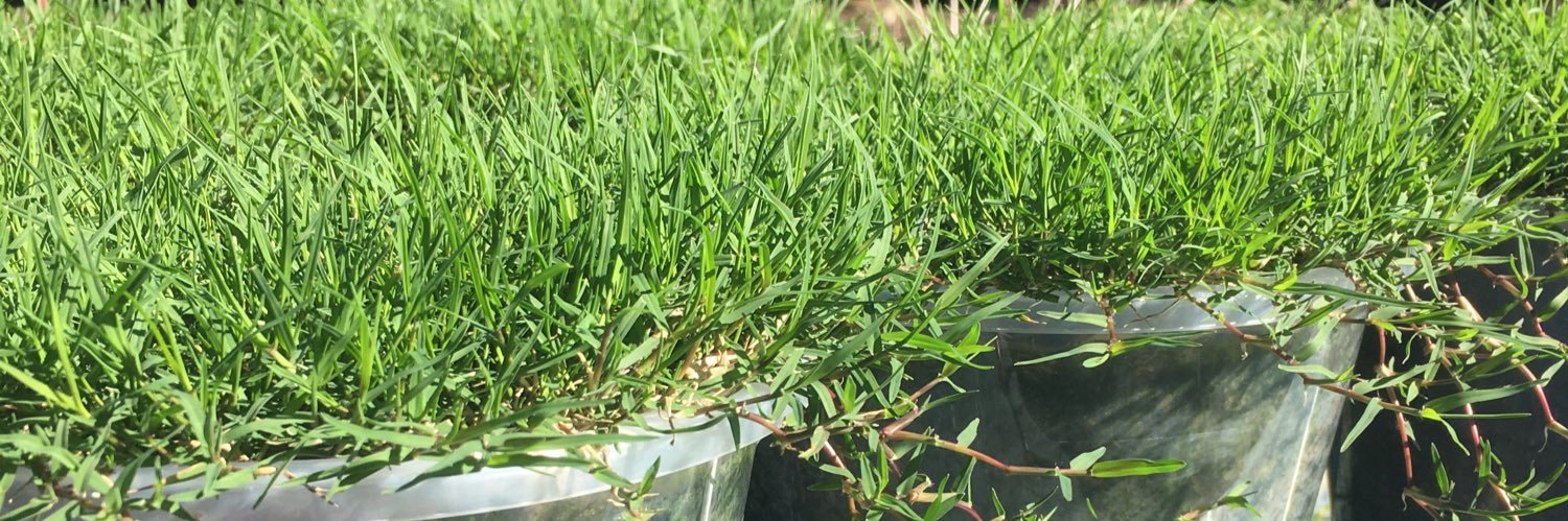 Neil Mayberry, CGCS banner