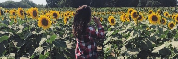 Madalyn_Pot's profile banner image