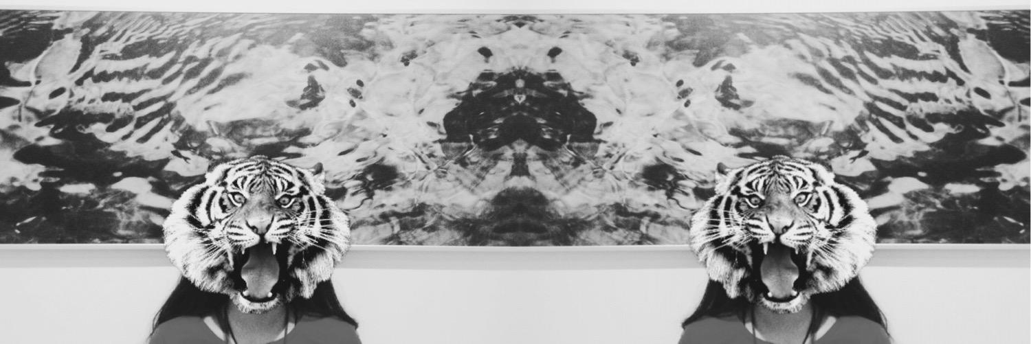 lalaaws's profile banner image