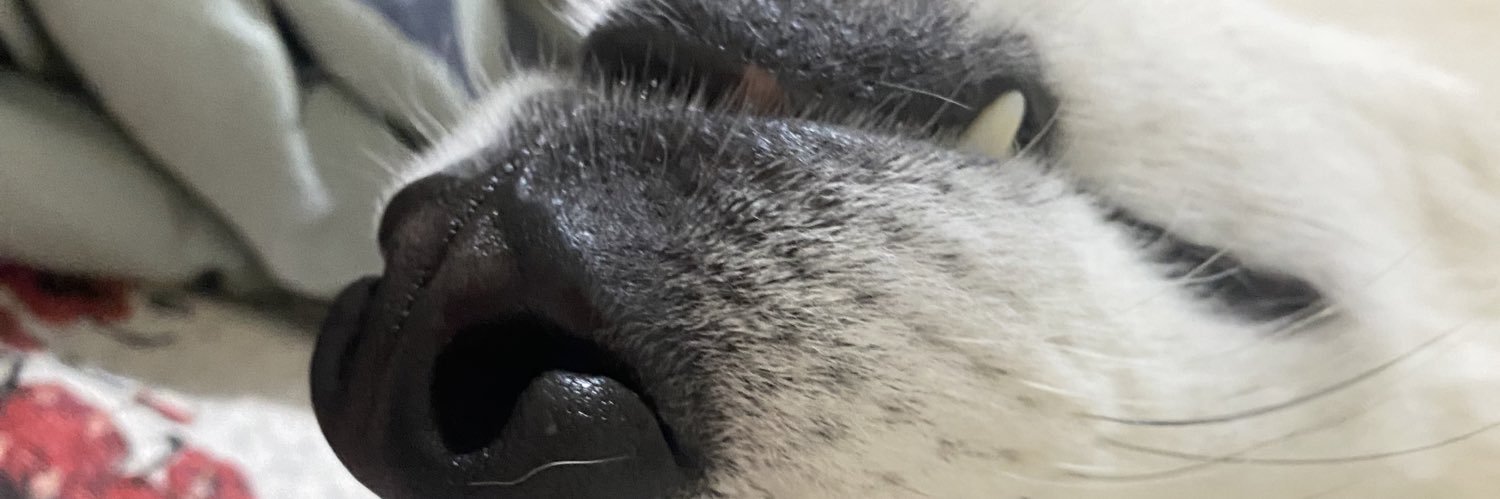 gohsfo's profile banner image