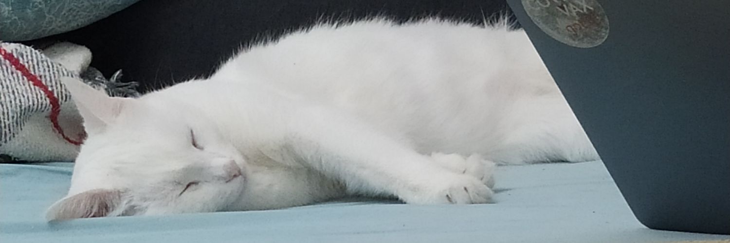 kdrdemirel's profile banner image