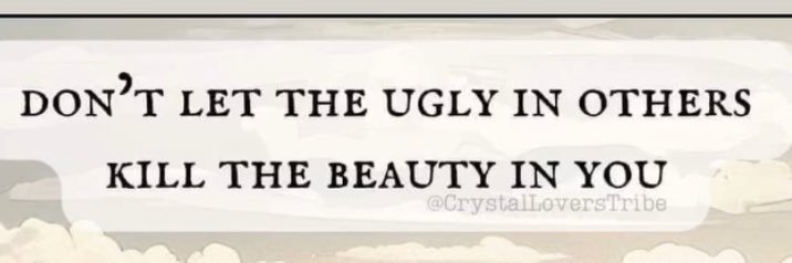 Lisa Grande 🫶🇺🇸✌️ banner