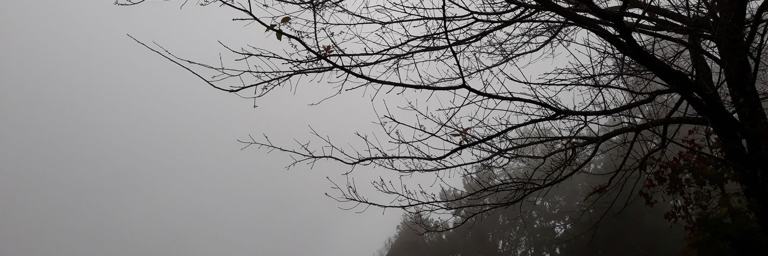 KnotMc's profile banner image