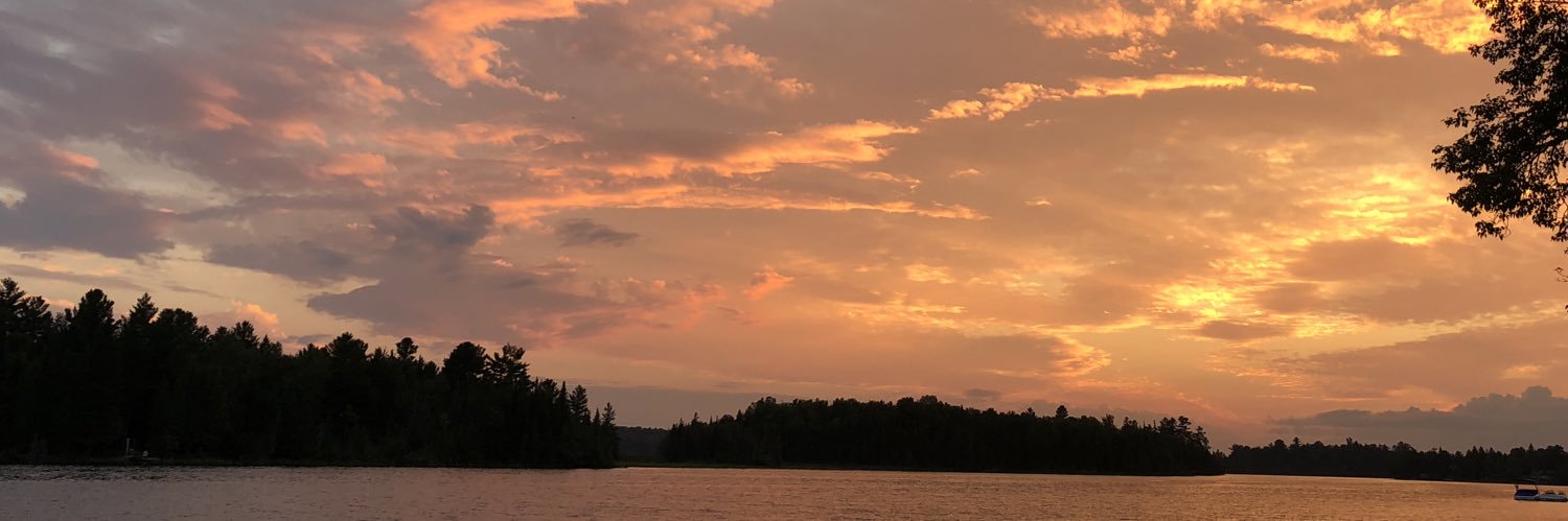 Michel Chartrand banner