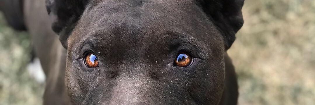 sunflowertayy's profile banner image
