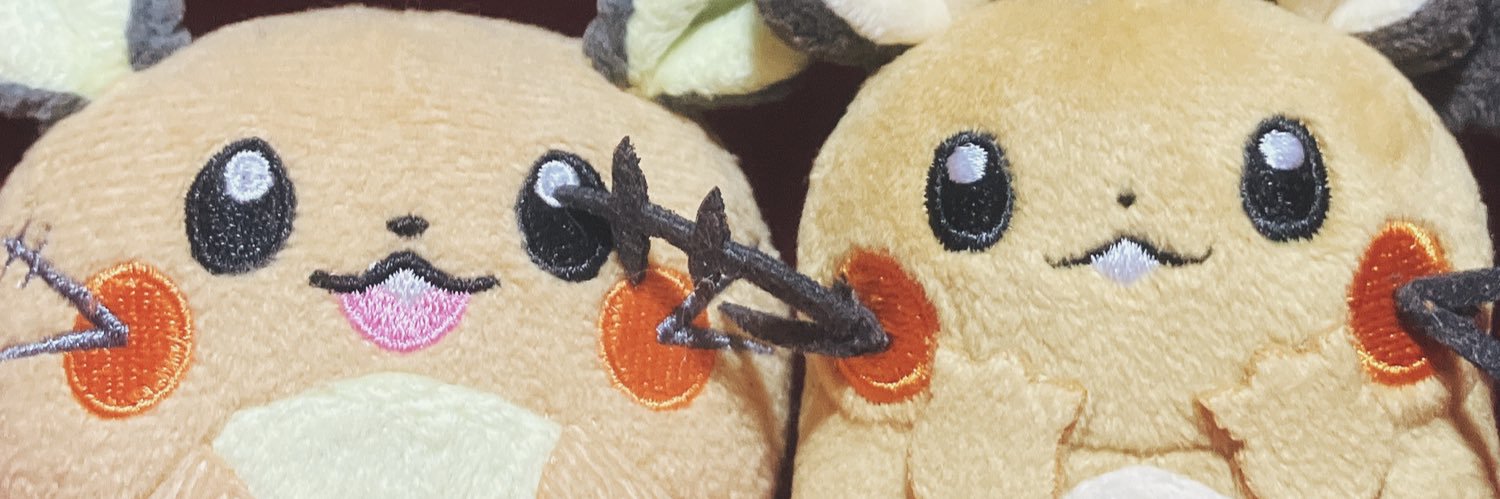 sa__nu's profile banner image