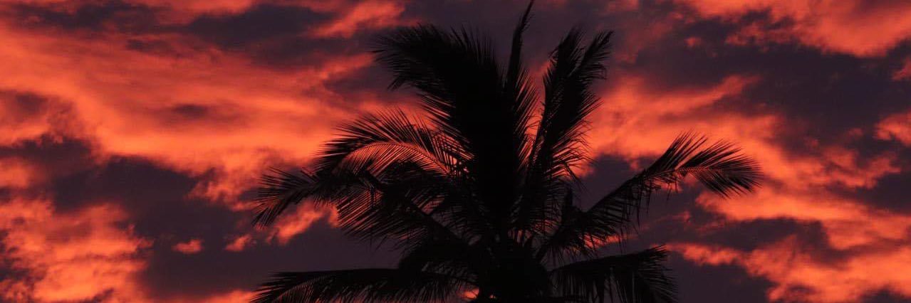 GreciaTaM's profile banner image